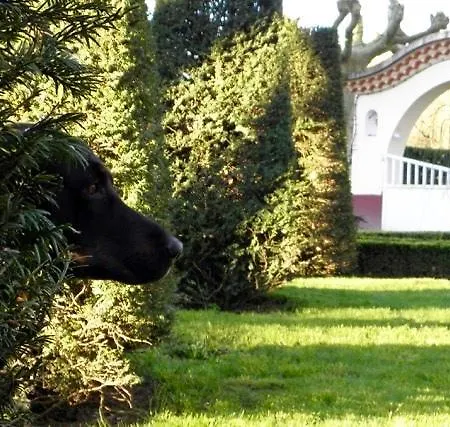 Bed and Breakfast Domaine De Roques *